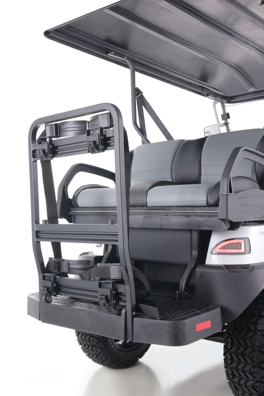 Tao Motor Champ Golf Cart