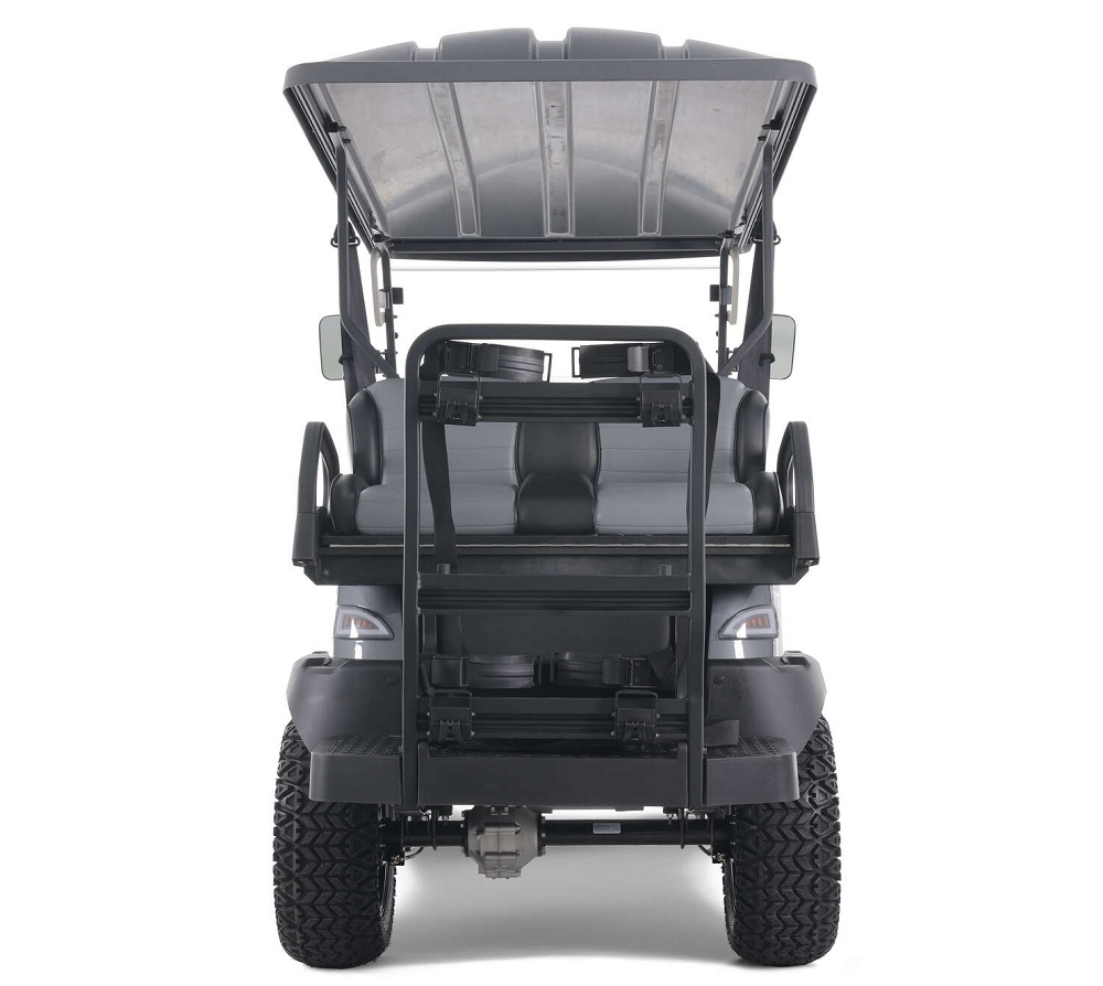 Tao Motor Champ Golf Cart