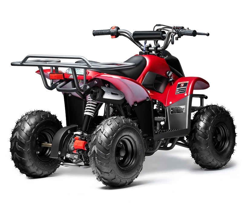 Taotao New Rex ATV