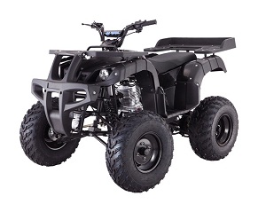 ATV RHINO 250
