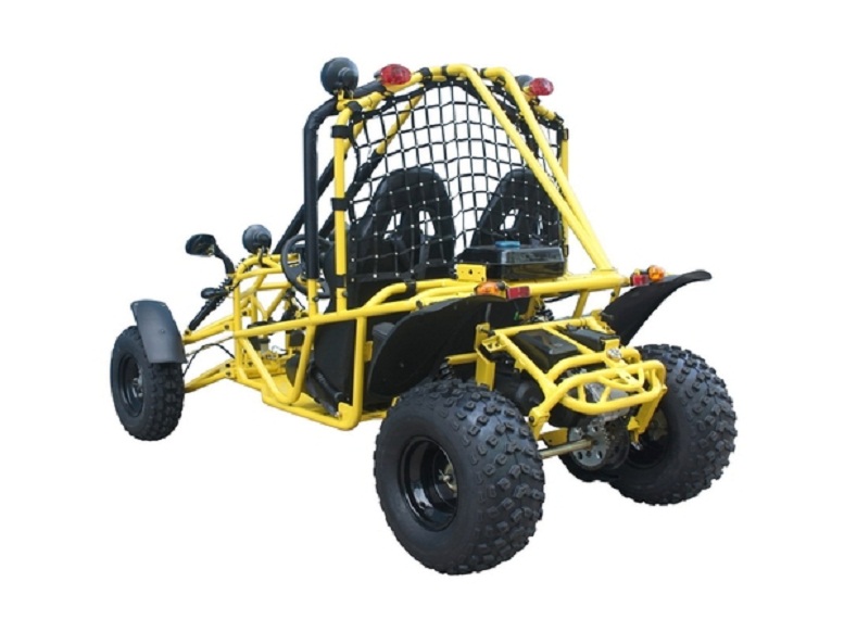 taotao 200cc go kart