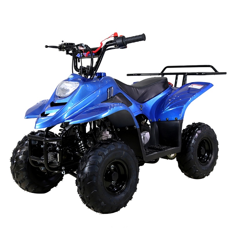 Buy The TaoTao ATA-110 B1 | Kids ATV 110cc for Sale Online