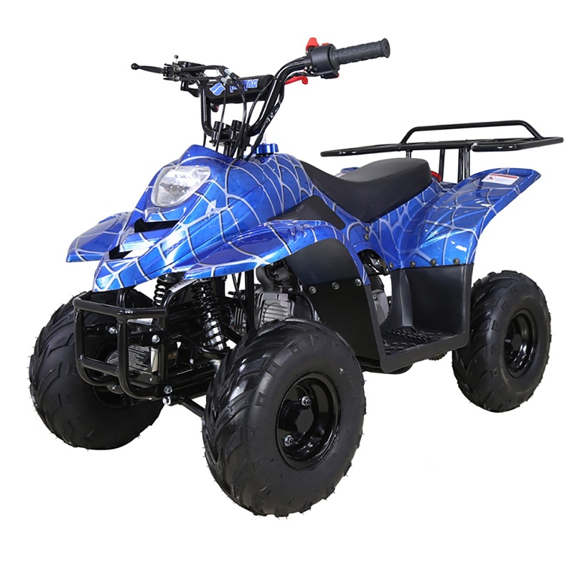 tao tao atv for sale near me