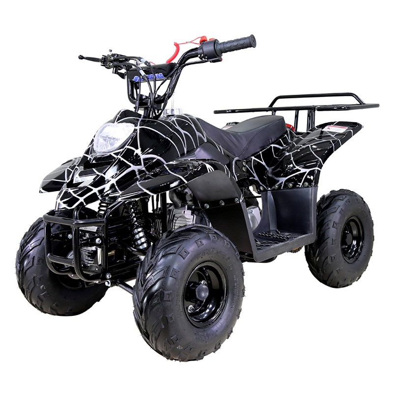 TAOTAO BOULDER-B1 125CC ATV