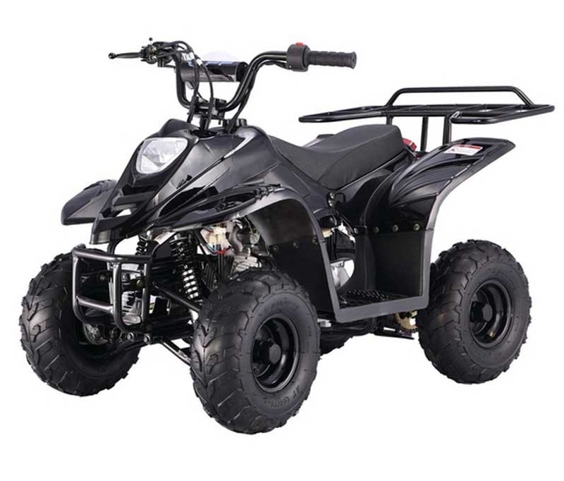 Buy The TaoTao ATA-110 B1 | Kids ATV 110cc for Sale Online