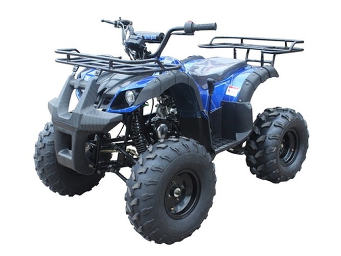 TaoTao ATA-135D TForce 125cc Utility ATV For Sale | Local Pick Up