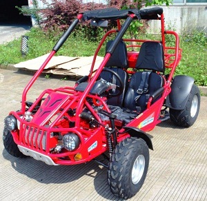 Buy New Trailmaster 300XRSE EFI Ultra Buggy Go Kart Largest Engine , Fuel Injected Motor, Over Sized disc brakes, Water Cooled for sale at online - Txpowersports.com