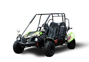 4 Seater Go Kart