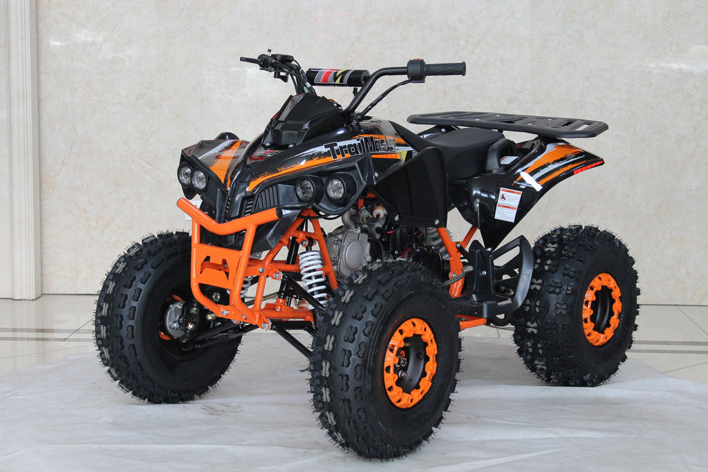 TrailMaster C125 ATV