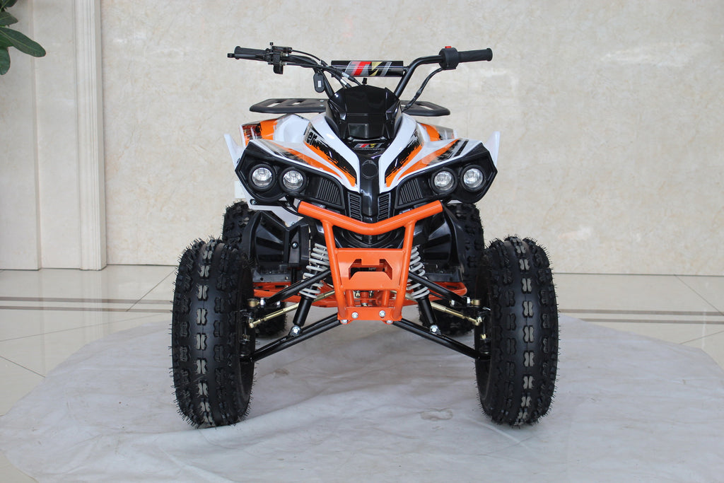 TrailMaster C125 ATV