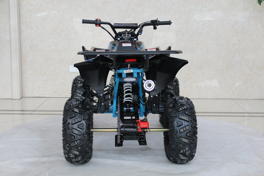 TrailMaster C125 ATV