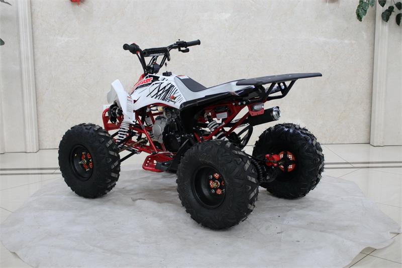 TrailMaster K125 ATV