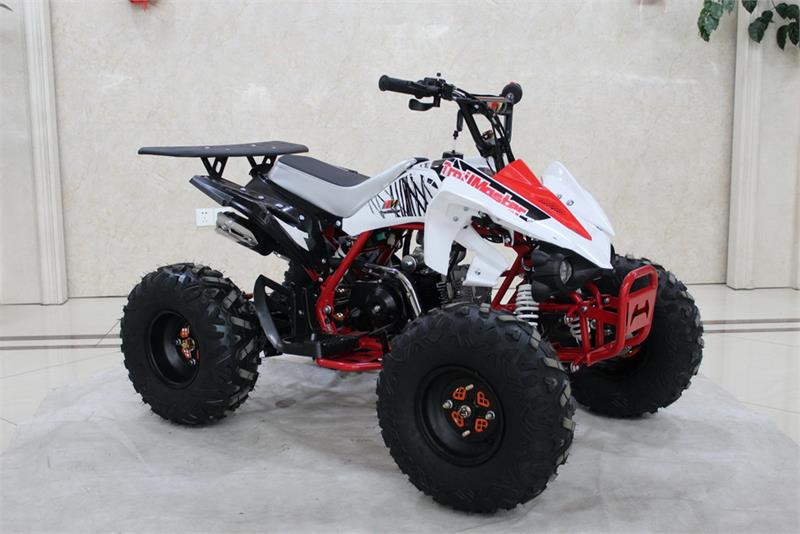 TrailMaster K125 ATV