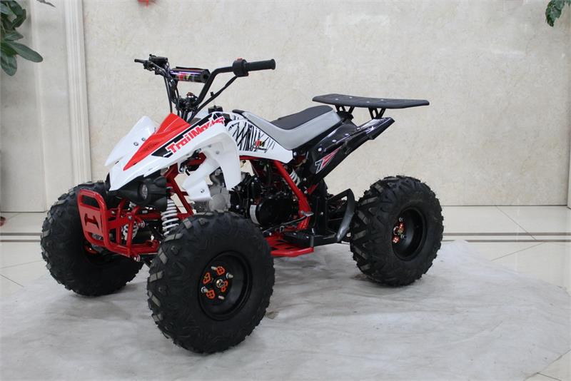 TrailMaster K125 ATV