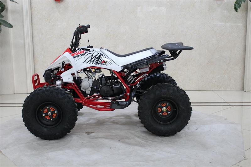 TrailMaster K125 ATV