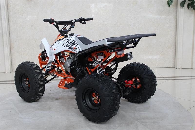 TrailMaster K125 ATV