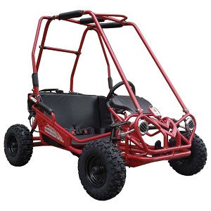 TrailMaster Mini XRS+ (Plus) 163CC Go Kart With Manual Pull Start 4-Stroke, Single Cylinder, Air Cooled
