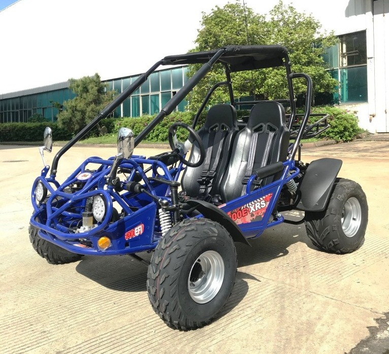 TM 200E XRS EFI GO KART