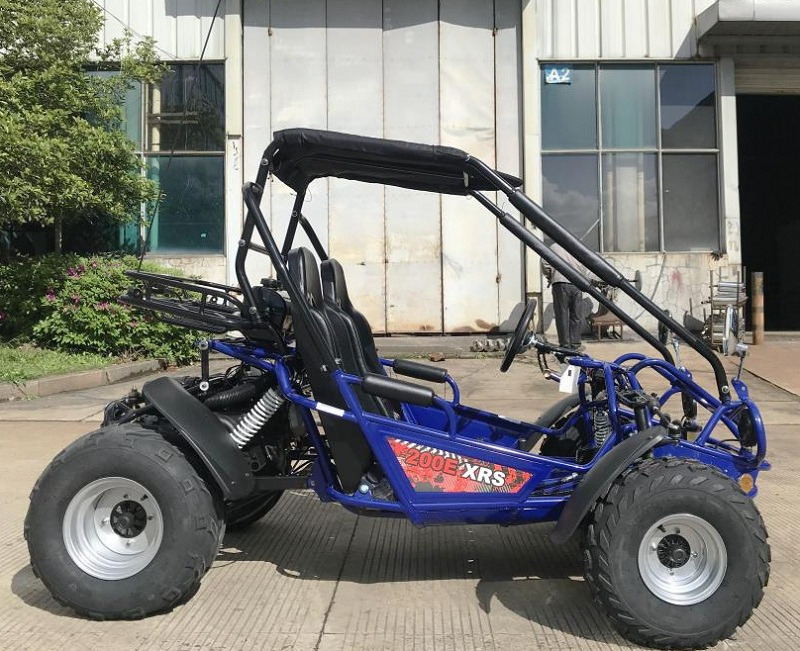 TM 200E XRS EFI GO KART