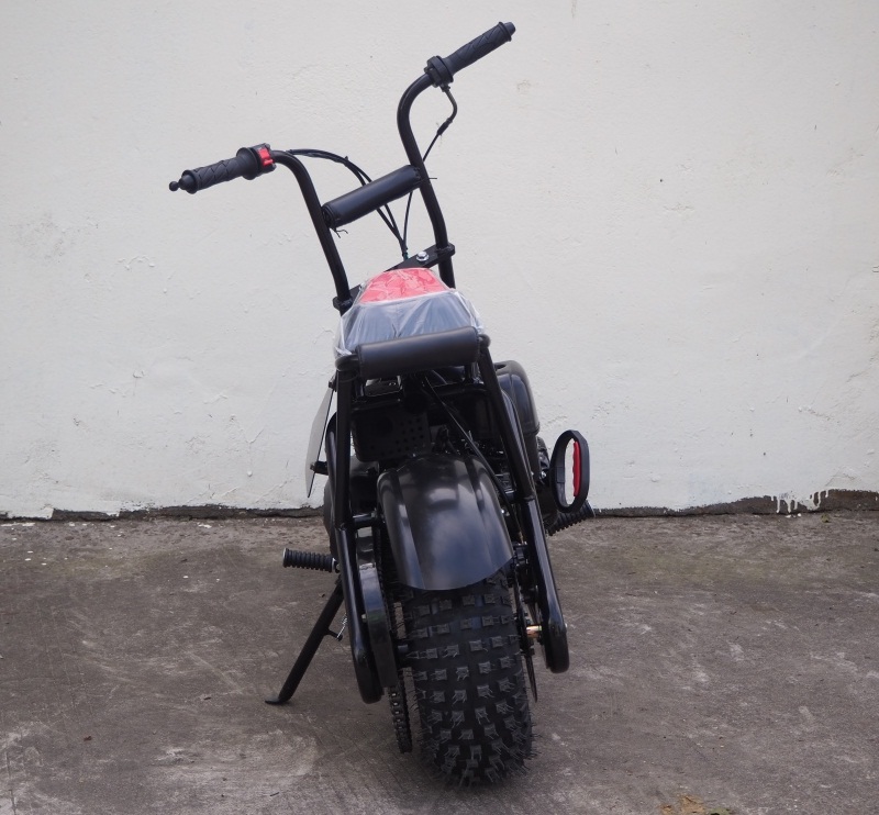 TRAILMASTER MINI BIKE STORM 200