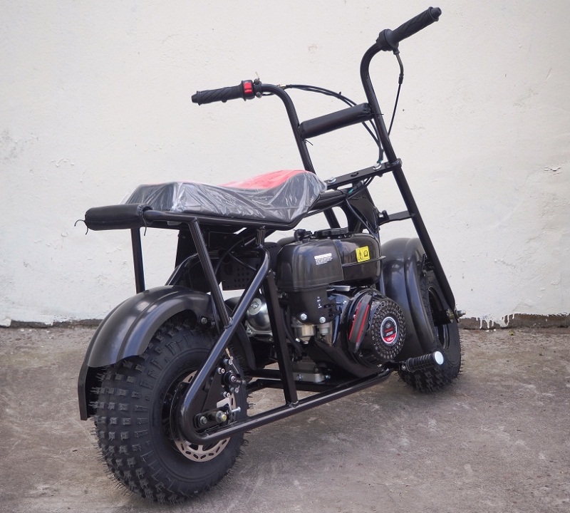 TRAILMASTER MINI BIKE STORM 200