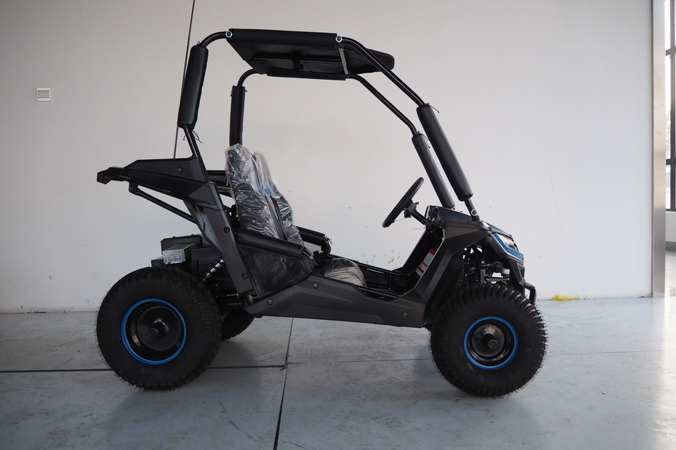 TrailMaster Cheetah i6 electric