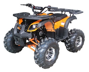 125cc Atv For Sale >> 125cc Atvs For Sale Tao Tao 125cc Atvs Free Shipping 125cc Atv For Sale >> 125cc Atvs For Sale Tao Tao 125cc Atvs Free Shipping