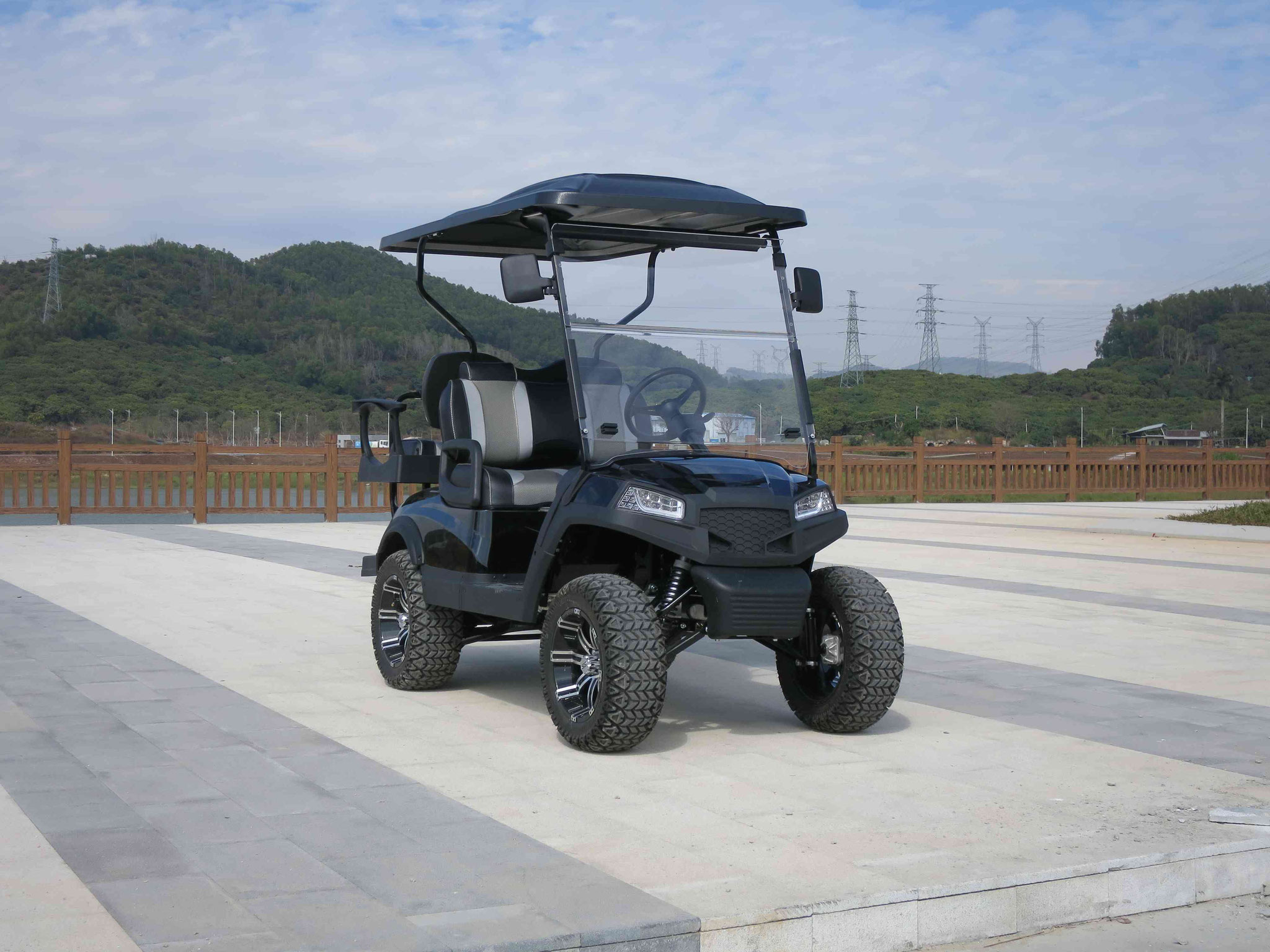 V2+2-Electric Golf Cart