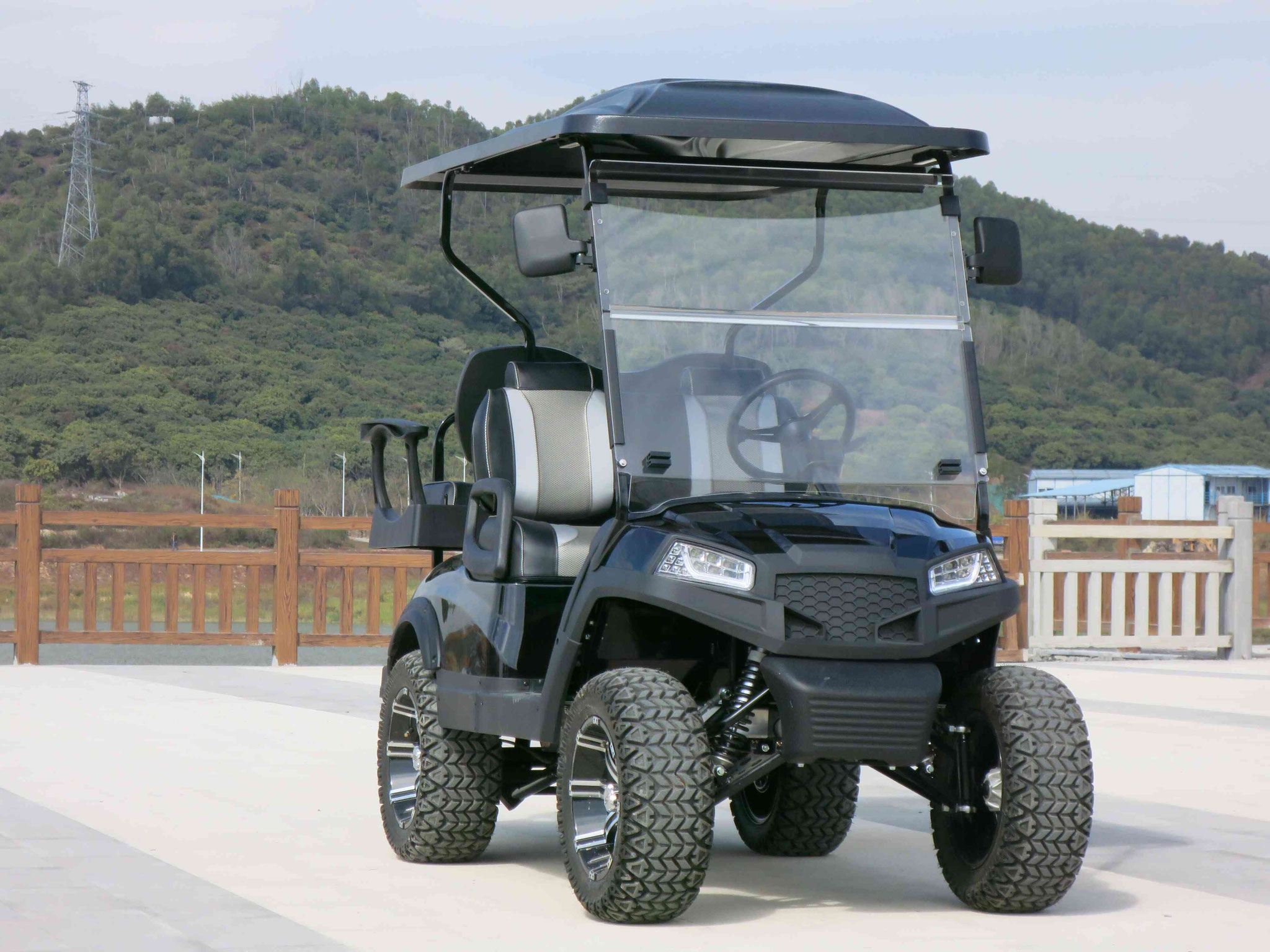 V2+2-Electric Golf Cart