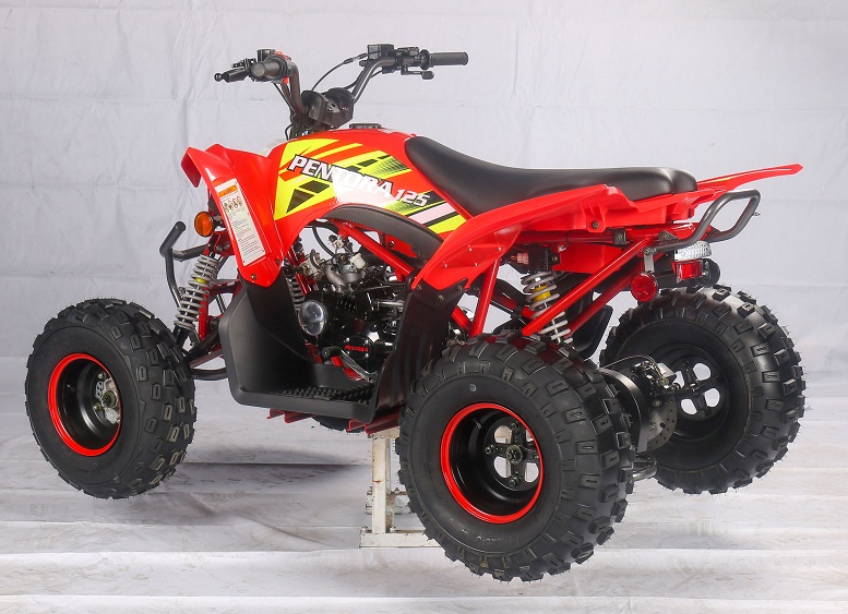 pentora 250cc for sale