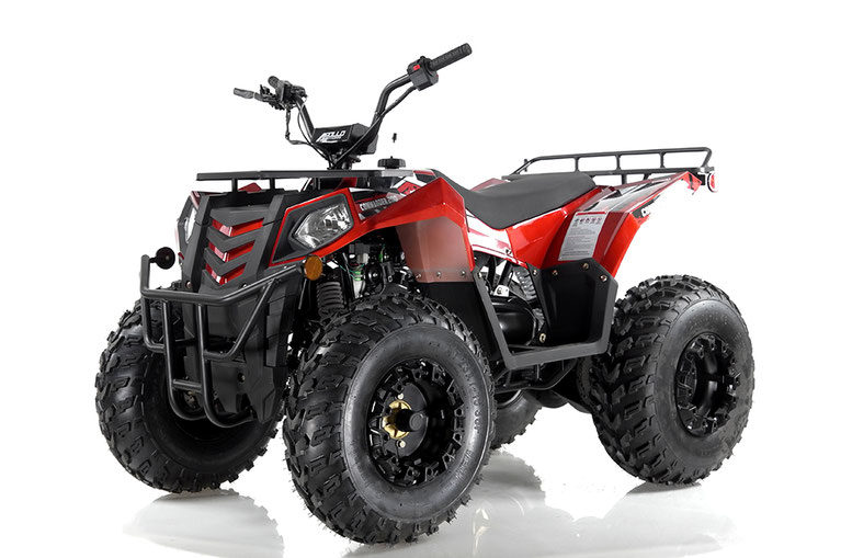 VITACCI COMMANDER 200 ATV