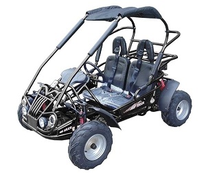 mid size go kart with 6.5 hp engine WITH REVERSE