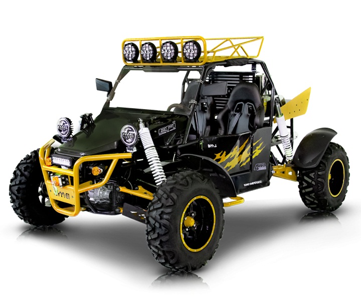 BMS V-TWIN BUGGY 800